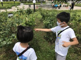 イベント情報 横須賀市 三笠公園 イベント情報 横須賀市 三笠公園