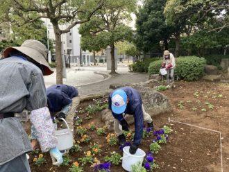 公園だより最新投稿写真