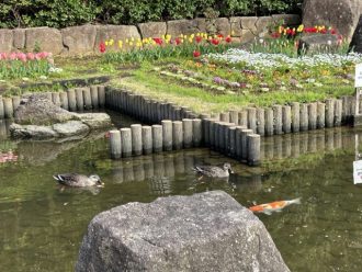 公園だより最新投稿写真