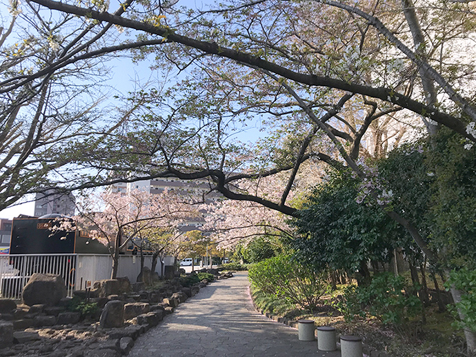 せせらぎの小道の写真