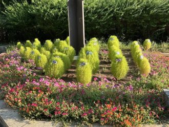 公園だより最新投稿写真