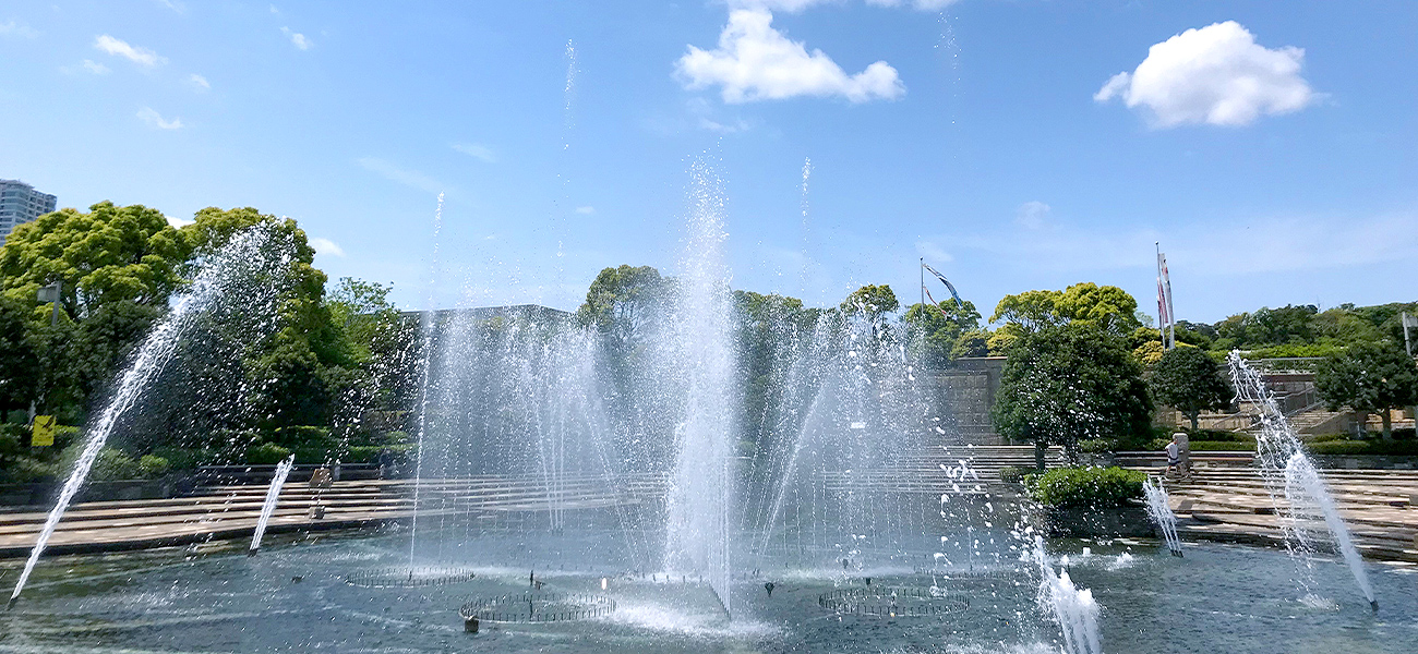 公園の写真3