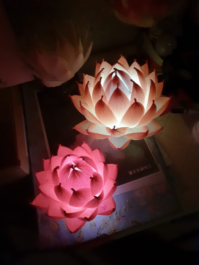愛と光の蓮の花展｜イベント情報｜ 小田原フラワーガーデン
