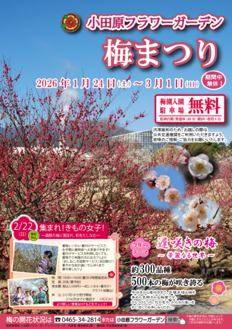 フラワーだより最新投稿写真