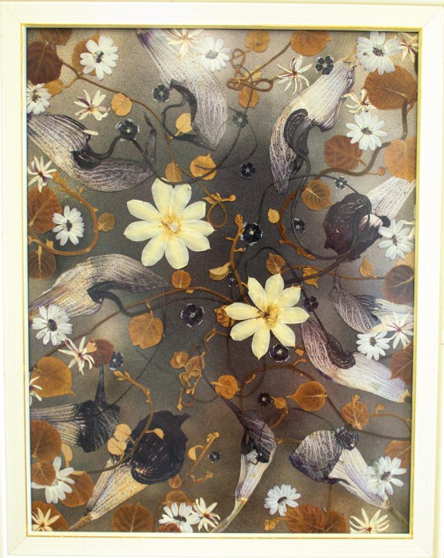 押し花アート　絵画 押し花アート 黄花コスモスのデザイン(押し花絵） - フルール