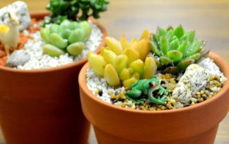 主催イベント:2026 1月の三連休イベントの画像