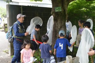 主催イベント:🌸フラワーガーデン自然観察会🦋の画像
