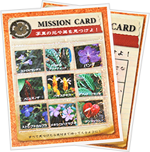 ミッションカードの画像