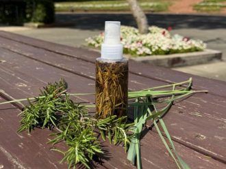 主催イベント：ハーブのエアーフレッシュナー作りの画像