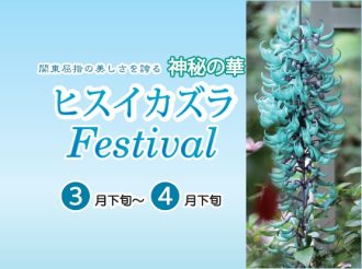 主催イベント：2025ヒスイカズラフェスティバルの画像