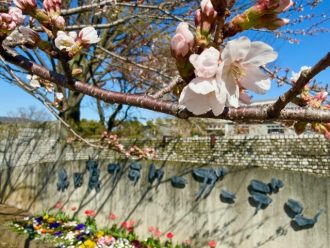 フラワーだより最新投稿写真