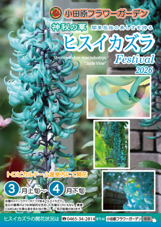 フラワーだより最新投稿写真