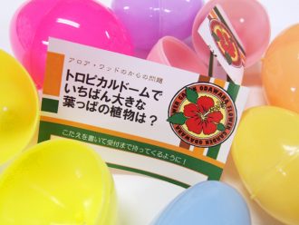 主催イベント：2023　春休みイースター！！の画像