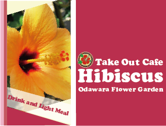 Take Out Cafe Hibiscus