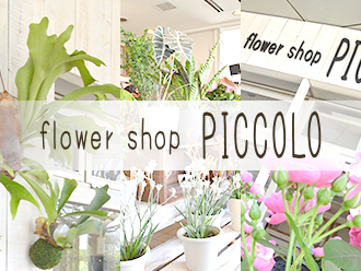 flower shop PICCOLO