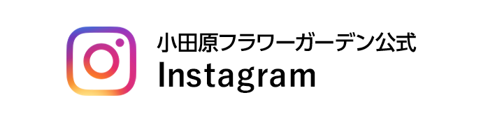 小田原フラワーガーデン公式Instagram