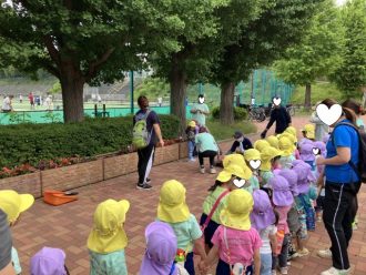 公園だより最新投稿写真