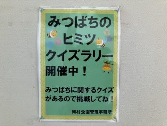 公園だより最新投稿写真