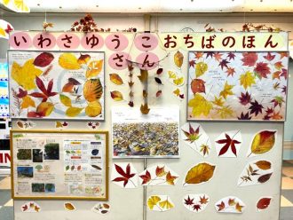 主催イベント：【当日受付】おちばであそぼうイベント開催！の画像