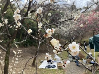 公園だより最新投稿写真