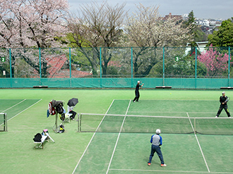 公園の写真