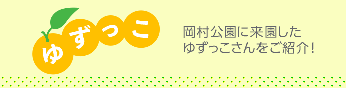 ゆずっこ：岡村公園に来援したゆずっこさんをご紹介！