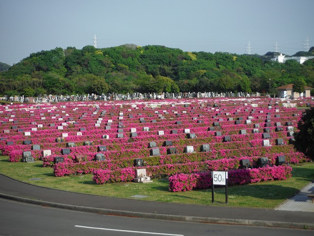 17-tutuji-02
