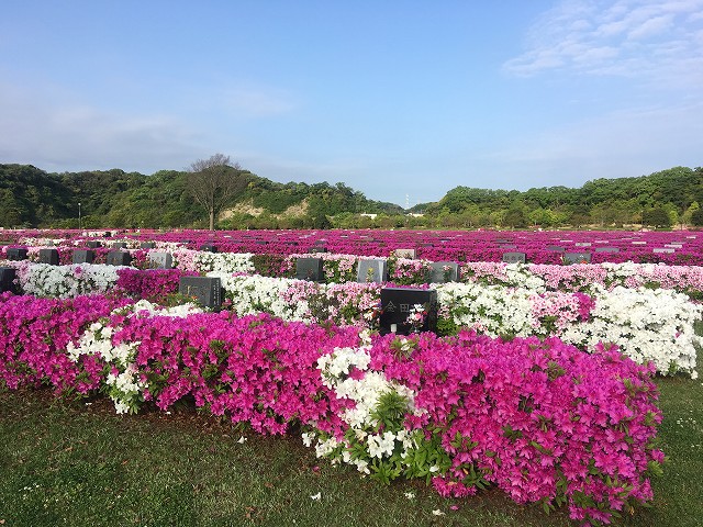 17-tutuji-03