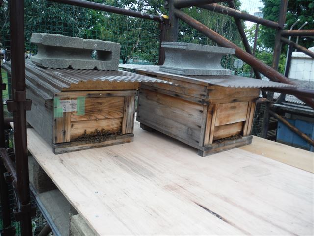 dscf1337_r