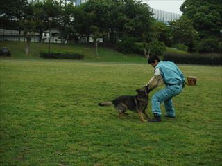 dscf1639_r