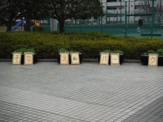 DSCF4472