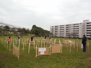 DSCF4482