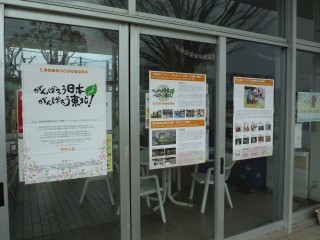 DSCF4487