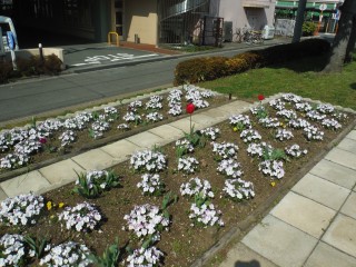 DSCF4552