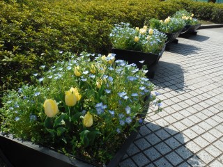 DSCF4560