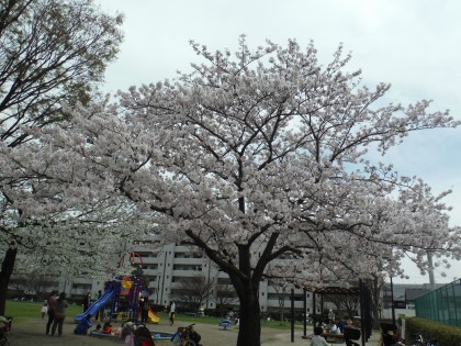 DSCF4619