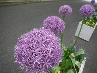 DSCF4783