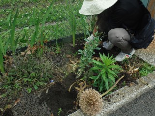 DSCF5233
