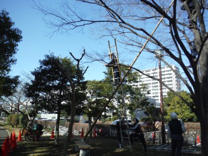 dscf7734