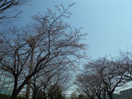 dscf8434