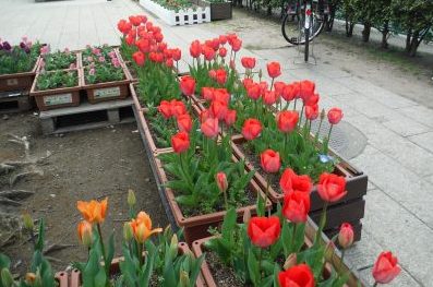 dscf8449