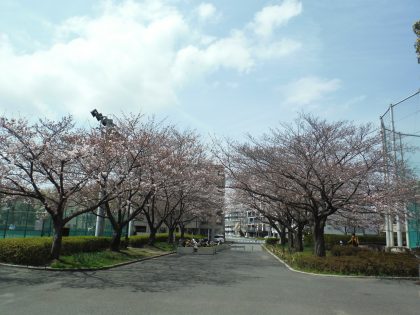dscf8451