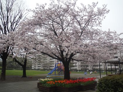 dscf8508
