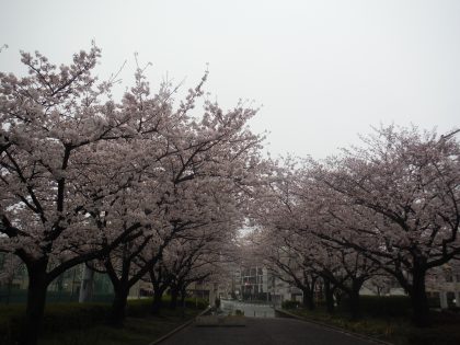 dscf8509