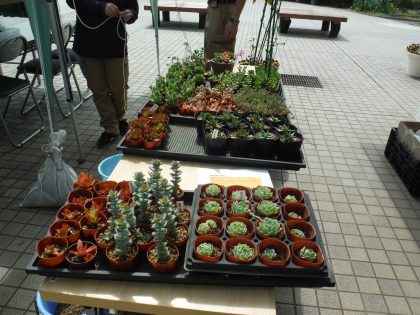 dscf8554