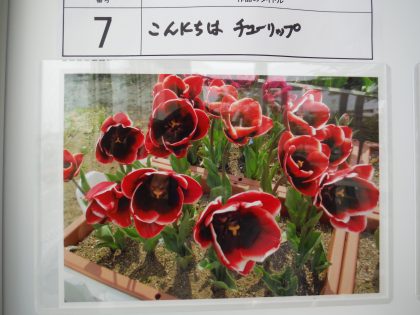 dscf8698