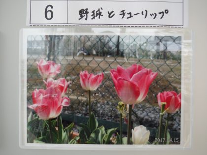 dscf8699