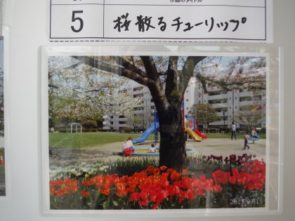 dscf8701