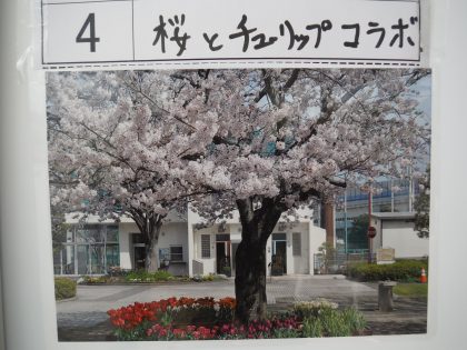 dscf8702