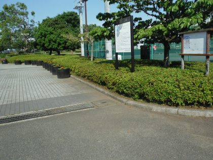 dscf8987